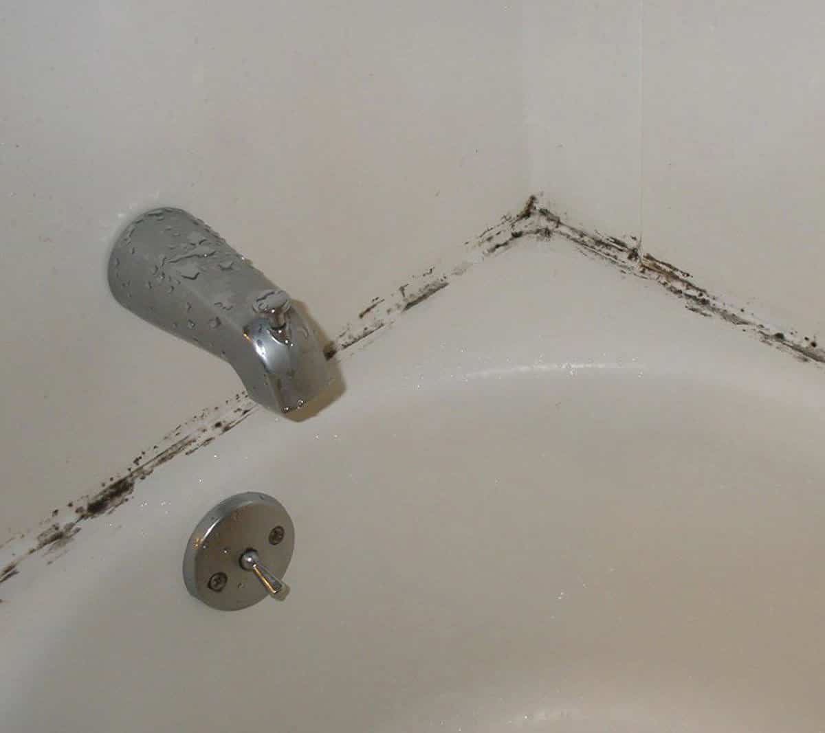 how-to-remove-black-mould-from-silicone-sealant-and-rejuvenate-your