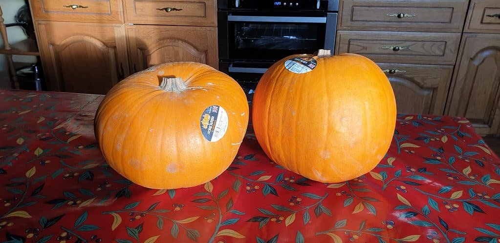 Two reasonably sized pumpkins