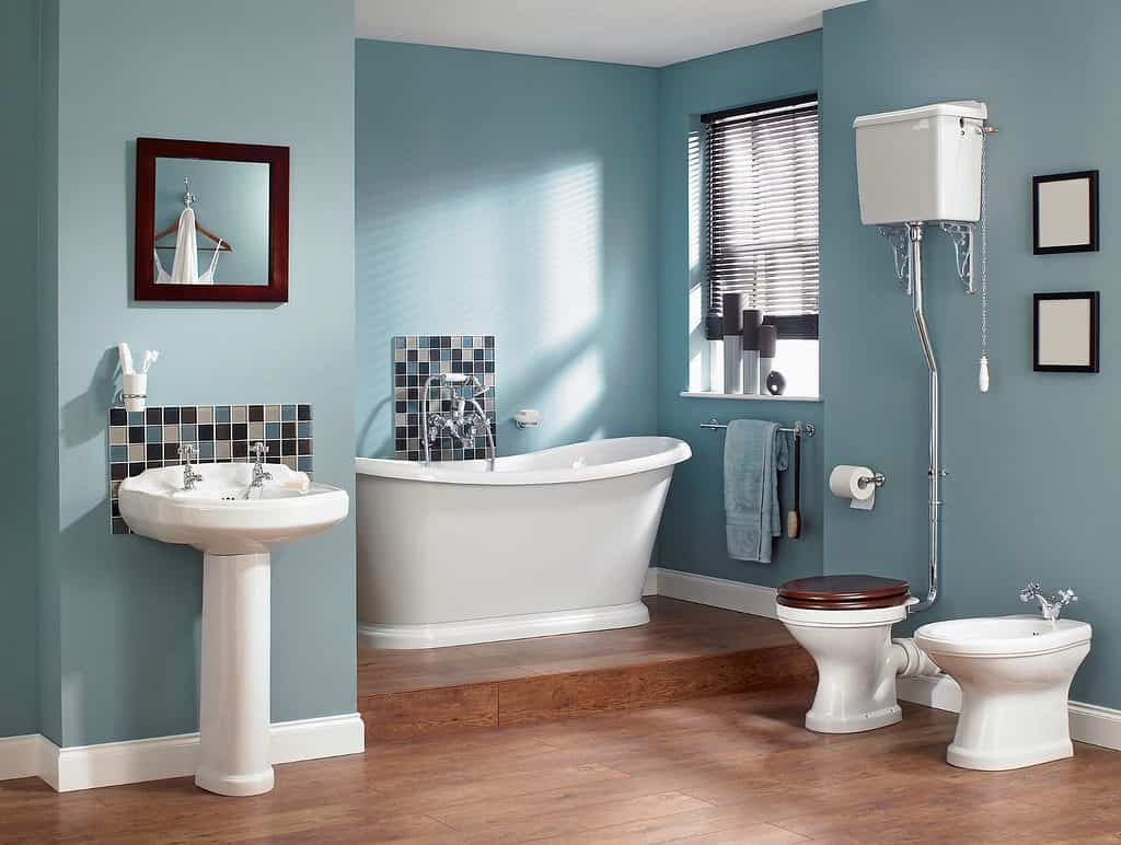 Traditional styled bathroom with blue walls
