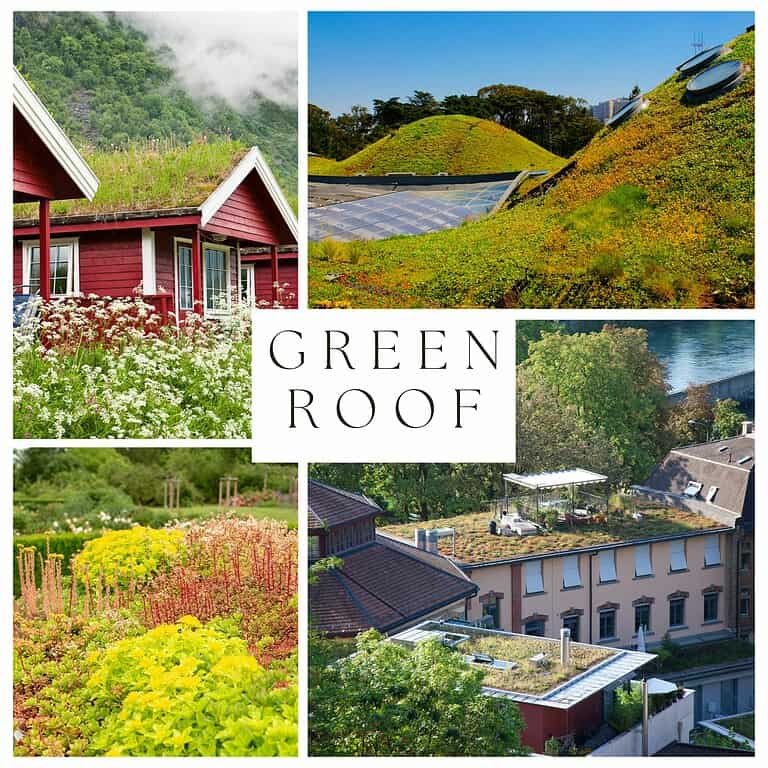 Embracing Urban Sustainability: Discover the World of Green Roof
