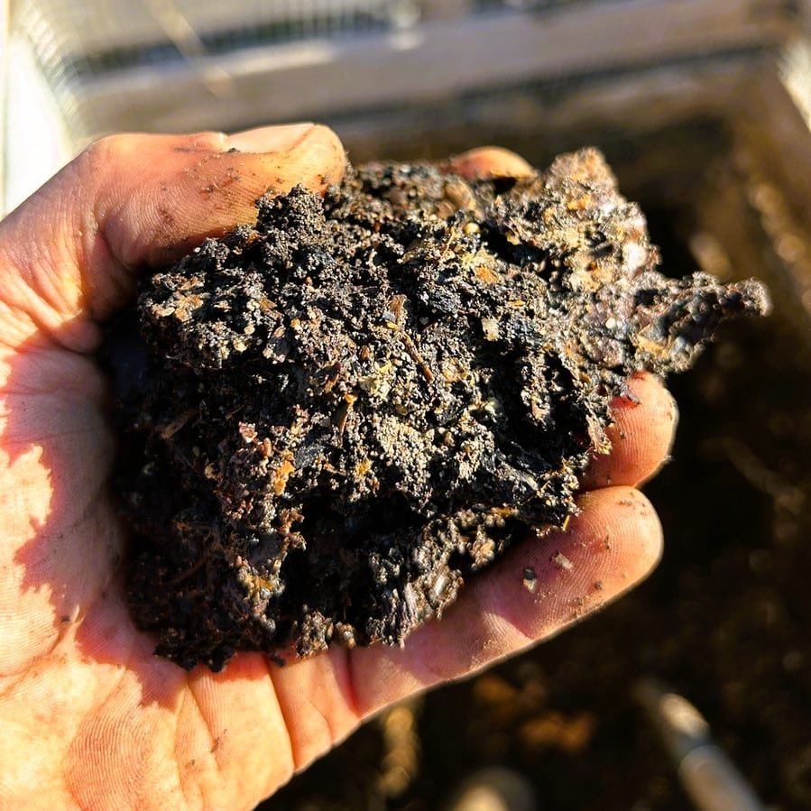 Biochar in a persons hand 727
