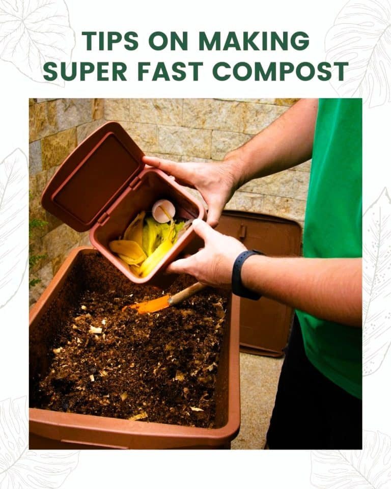 Break down food scraps for composting 1 729