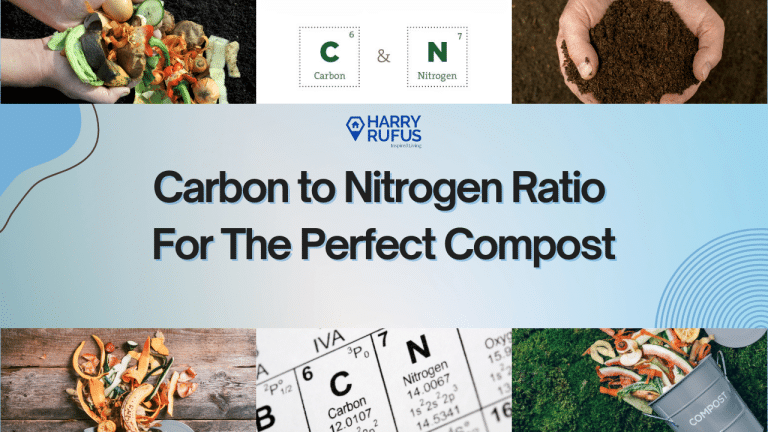 Carbon To Nitrogen Ratio For The Perfect Compost