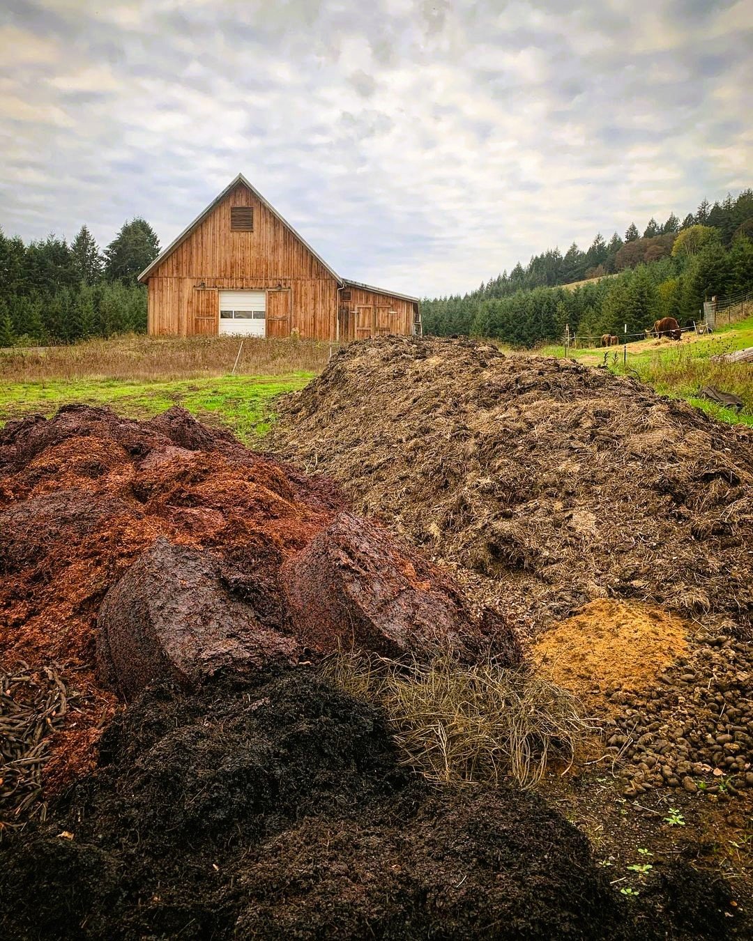 Compost pile with biochar 728