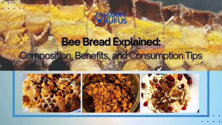Bee Bread Explained: Composition, Benefits, and Consumption Tips