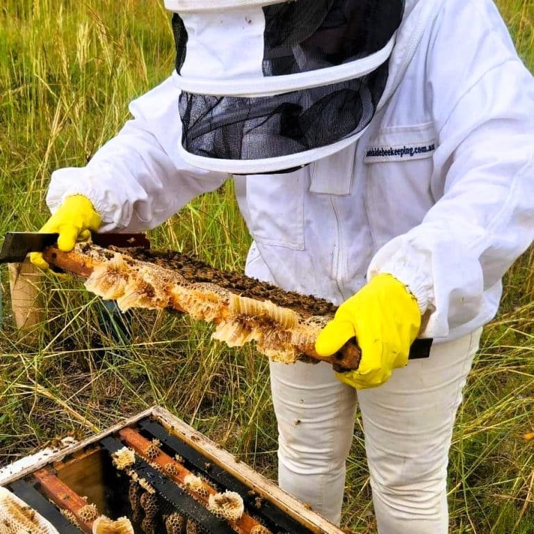 Hive management