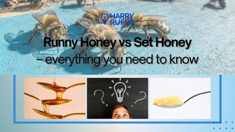 Runny Honey vs Set Honey – everything you need to know