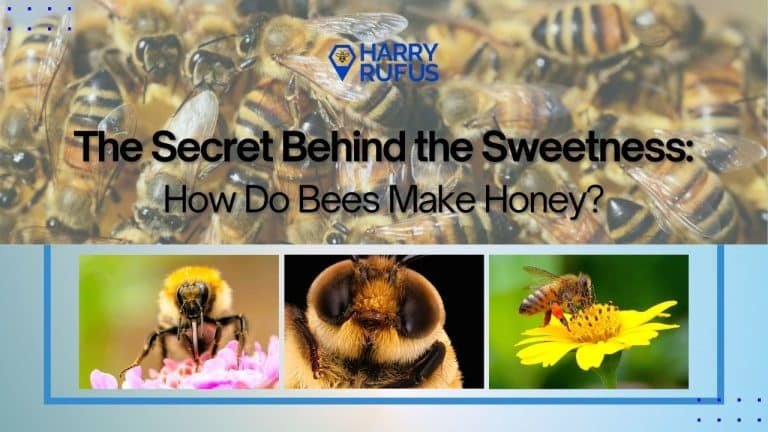 The Secret Behind the Sweetness: How Do Bees Make Honey?
