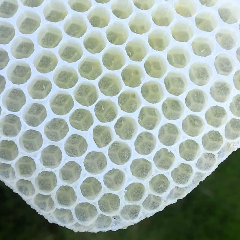 natural bee wax