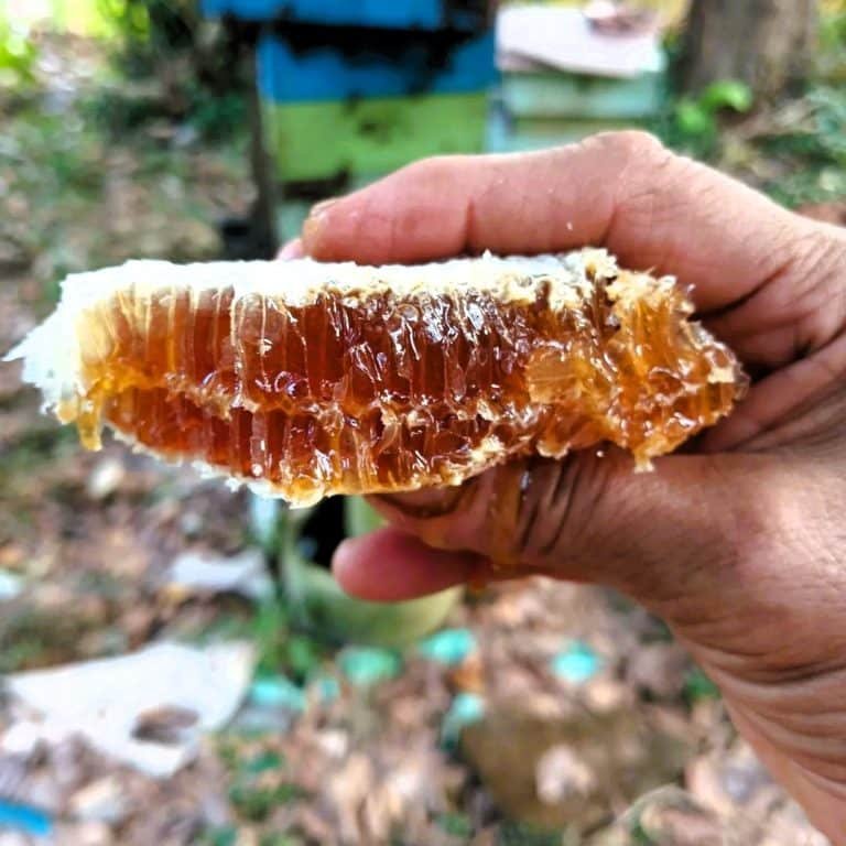 raw honey 4